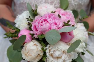 John T. Morgan Photography - 14