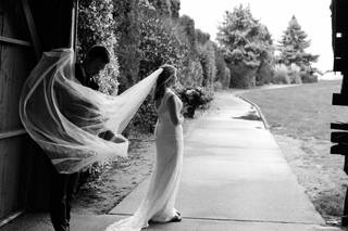 August Veils - 14