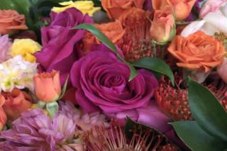 Moments in Bloom - 12