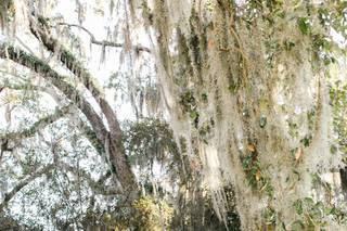 JB Marie Photography - 41
