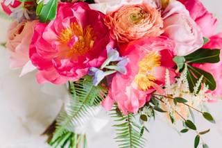 Wild Cotton Photography - 22