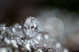 Dana Todd Photography - 6