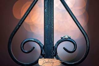 Doodle Fly Photography - 10