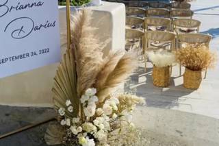 Cabo In Love - 116