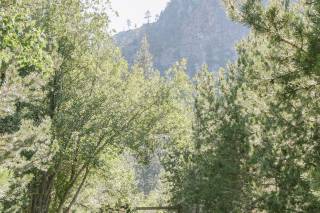 Corey Fox Photography - 19
