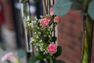 Botanica Flowers - 20