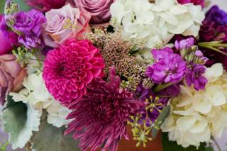 Bloominaire - 8