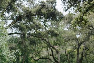 Hannah Acheson Photography - 53