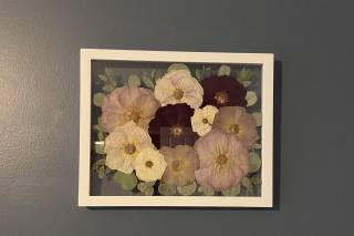 White Poppy Preservation - 44