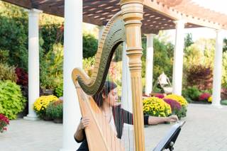Harpist Lizary Rodriguez 5
