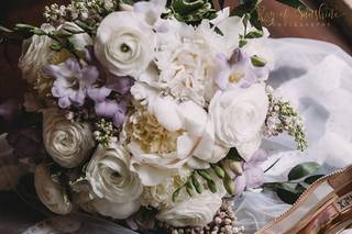 Ray of Sunshine Photography - 11