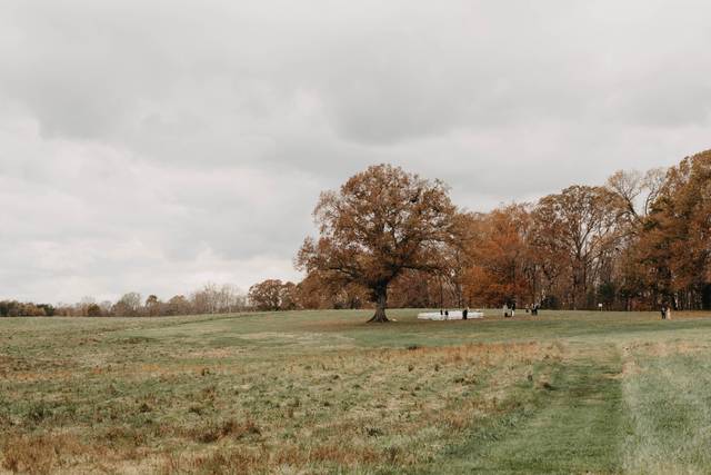 Summerfield Farms 4