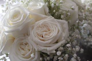 Beach Weddings Made Simple of SW Florida - 25