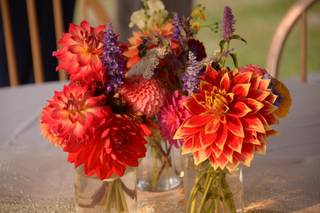 Goebel Hill Farm - 5