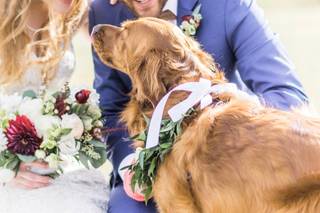 Stephanie Messick Photography - 15