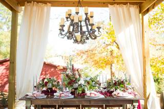 Glorious Moments Photography - 25