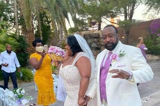 Rainbow Gardens - 48