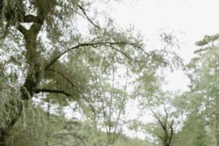 A Bushel and A Peck Vintage Rentals - 11
