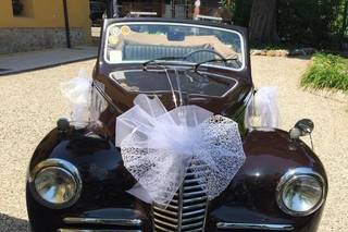 Soglia Events - 9