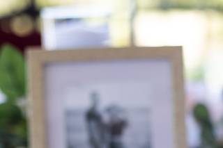 Bee Squared Apiaries - 6