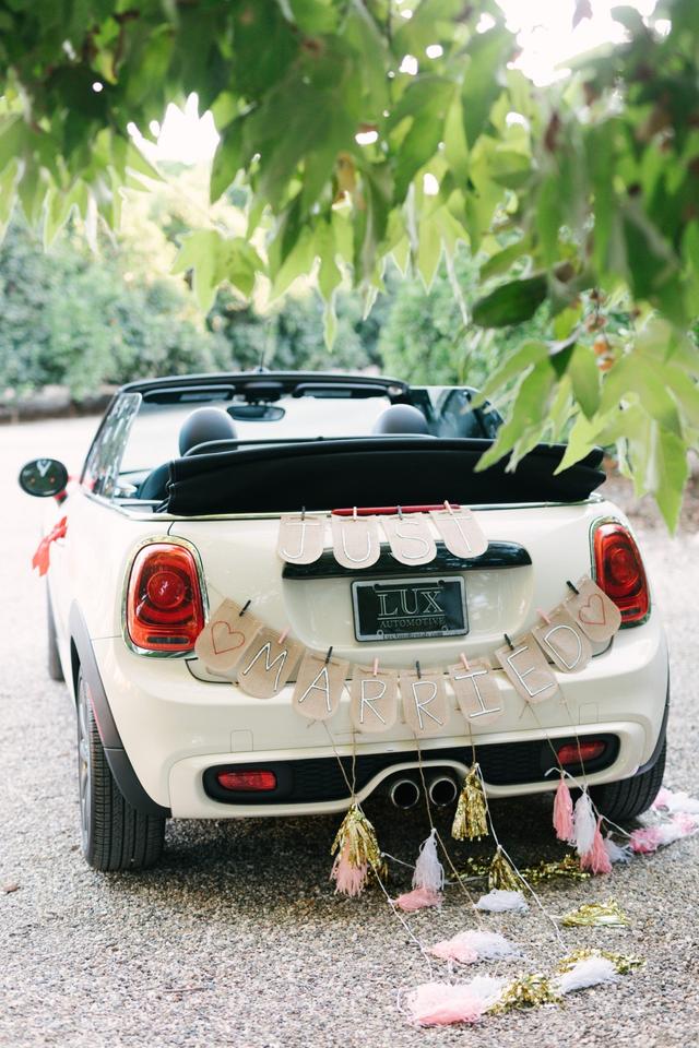 Alexis Exstrom Photography - 2