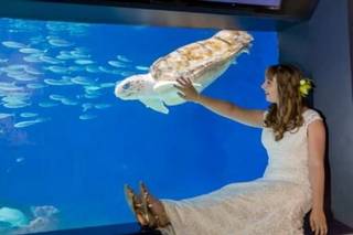 Birch Aquarium - 6