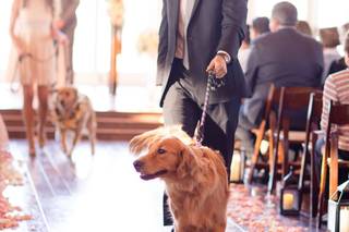 Michelle Valantine Photography - 43