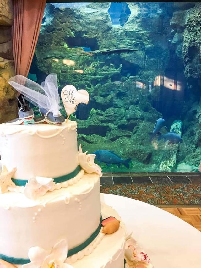 Encore Baking Company - 3
