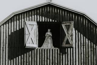 Pinerock Farm - 23