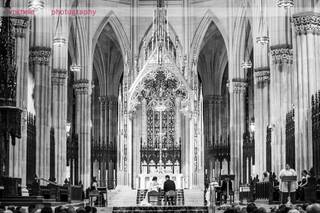 Michelle Arlotta Photography - 27