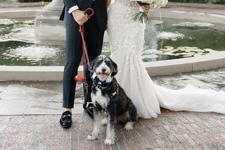Karina Mekel Photography - 17