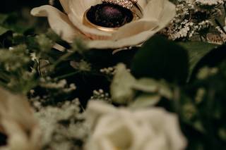 Nicole Lagoe Photography - 10