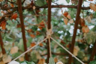 Lauren Miller Events - 55