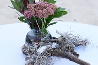 Coastal Tented Events - 77