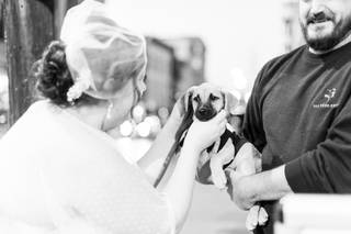 Hammitt Photo - 26