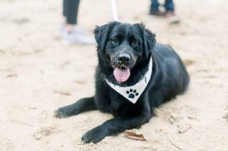 Meghan Elizabeth Photography - 46