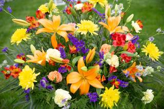 Mamaroneck Flowers - 8