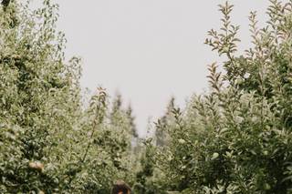 Mt View Orchards Weddings - 16