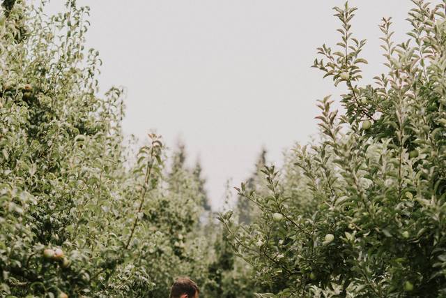 Mt View Orchards Weddings 2