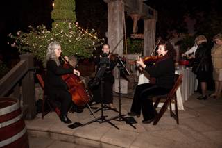 Musical Heart Strings - 31