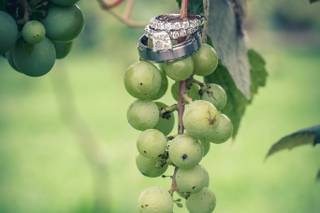 Annie V Photography - 35