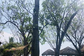 Playa Cielo Resort - 5