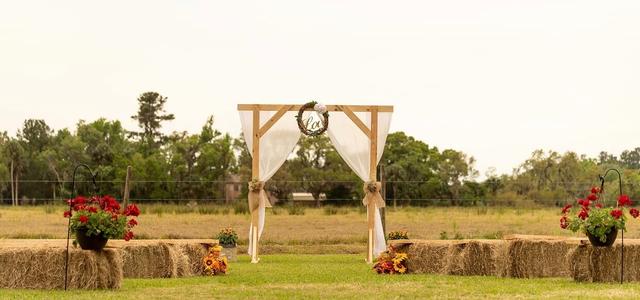 StephenJP Images - 4