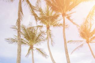 Captured Beauty Photography - 40