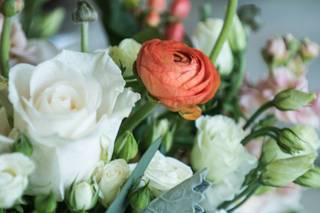 Sweetbay Flowers - 49