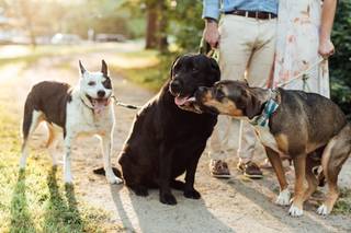Samantha Melanson Photography - 20