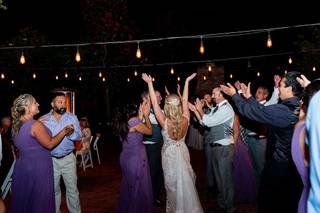 Professional DJ Services - 30