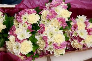 Annie Occasion for Any Occasion - 20