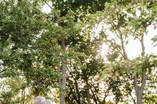 Amanda Megan Miller Photography - 6