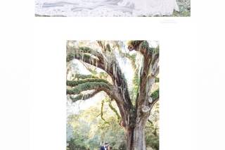 Wisteria Designs - 34